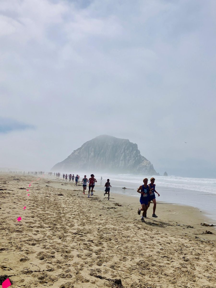 Cross-country athletes doing a high-intensity workout on the beach.