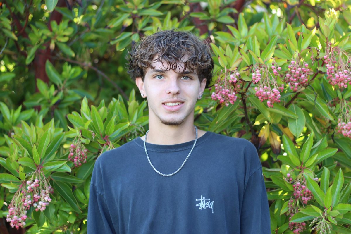 Mason Frawley
