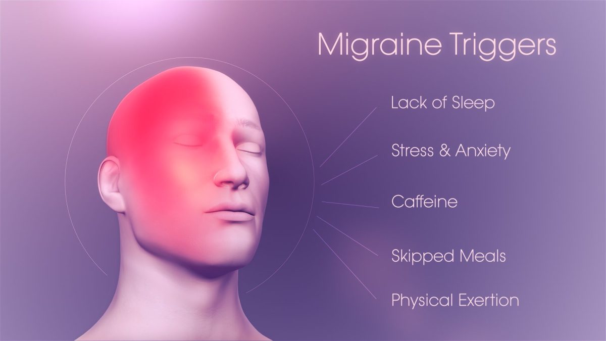 Credit: Scientific Animations