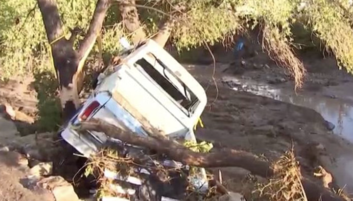 A car crashed and washed up into a tree and left broken. (Source: AZ Family)