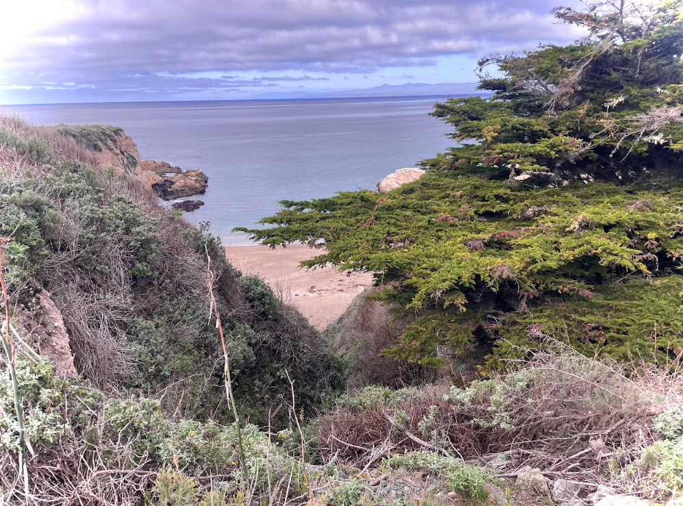 The Bluff Trial.