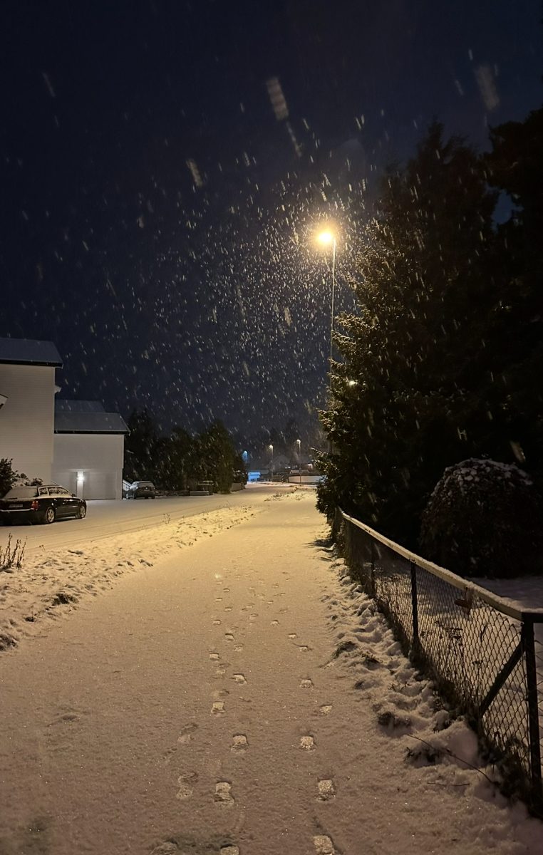 On the way home from school. School ends around 3 in Norway. (Credit: Julie Hartz)
