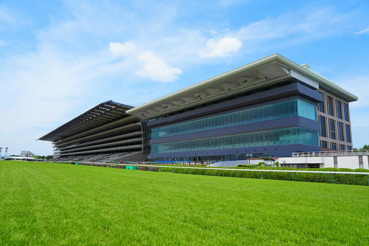  A view of the main grandstand of Tokyo Racecourse.
[Source: Sports Nippon Keiba, Sponichi Keiba]


