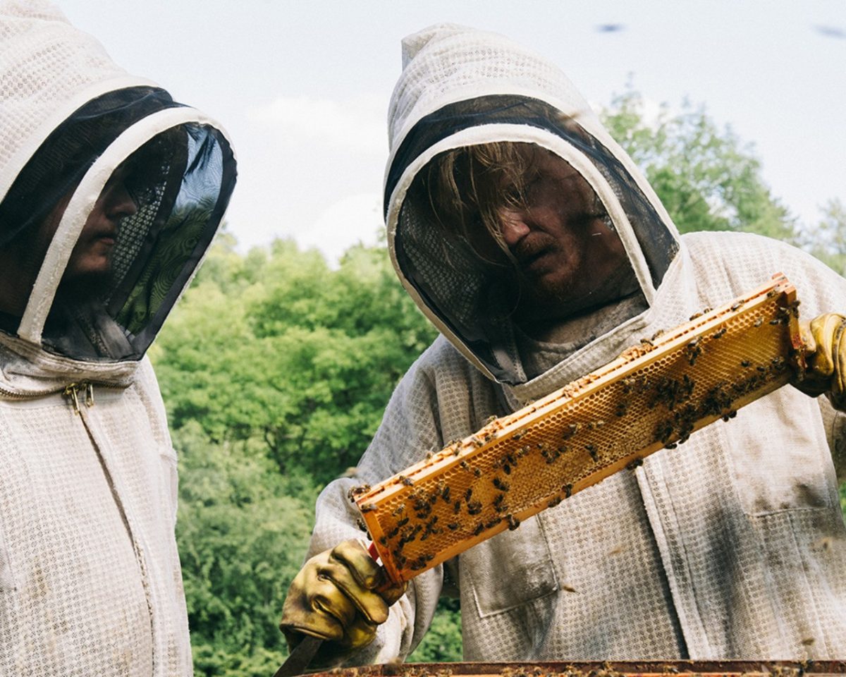 Jesse Plemons and Aidan Delbis in the opening scene of “Bugonia.” [Source: Universal Pictures]
