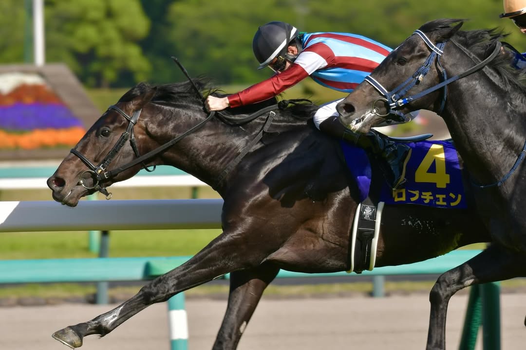 Lovcen narrowly beats Realize Sirius (far right) towards the line to claim the Satsuki Sho. [Source: @horseracing924 on Instagram]

